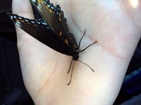 photos 2000-200902616